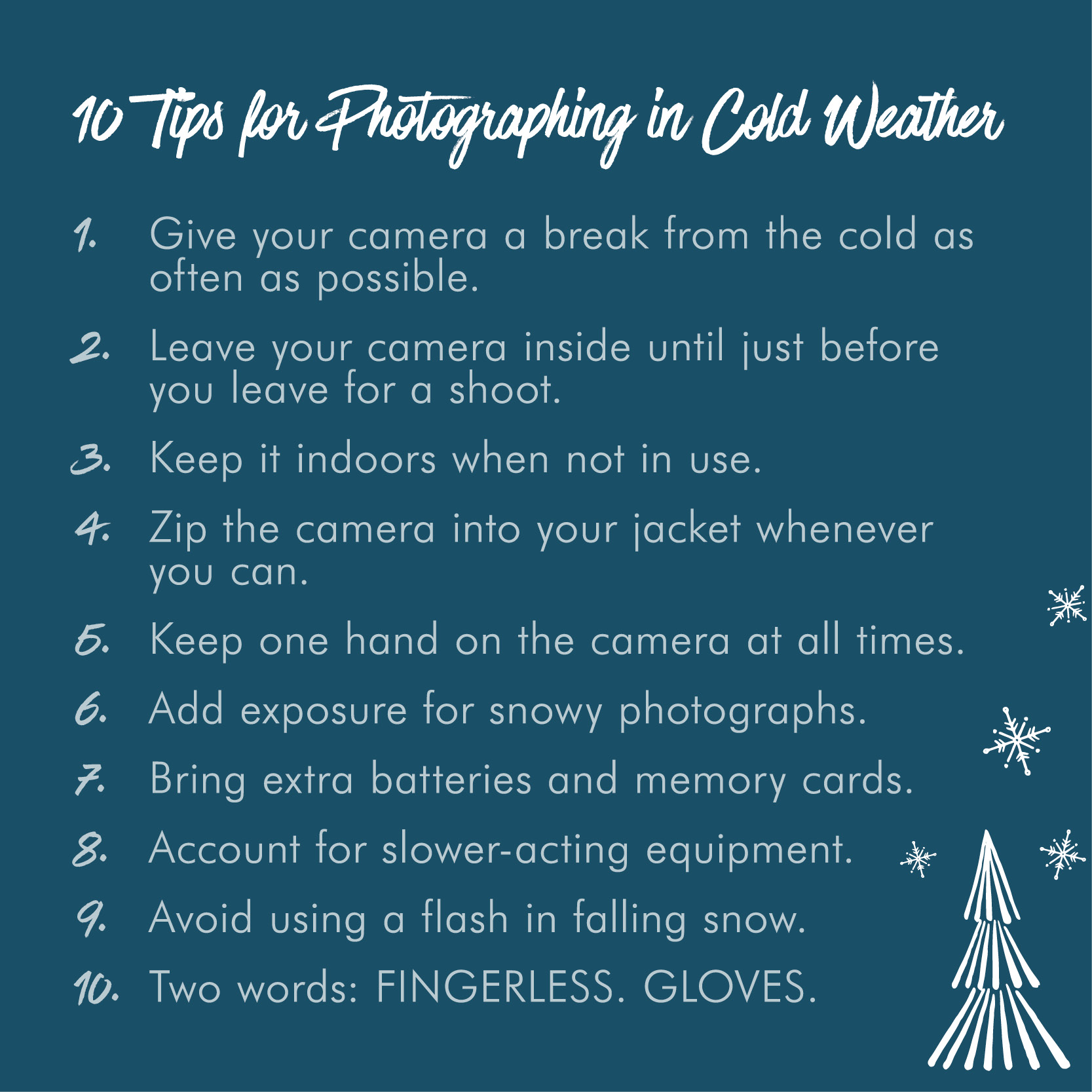 10 Tips for Photographing in Cold Weather Nations Photo Lab